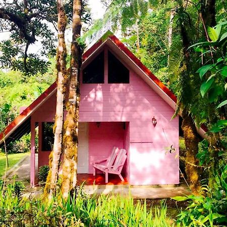 Cabanas Las Orquideas Zapotal  ภายนอก รูปภาพ