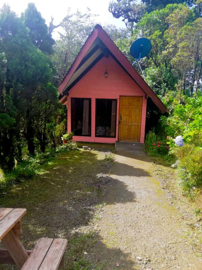 Cabanas Las Orquideas Zapotal  ห้อง รูปภาพ