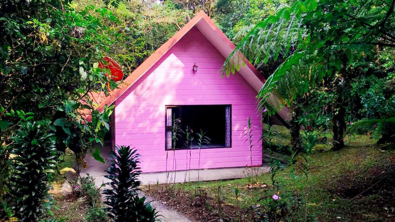Cabanas Las Orquideas Zapotal  ห้อง รูปภาพ