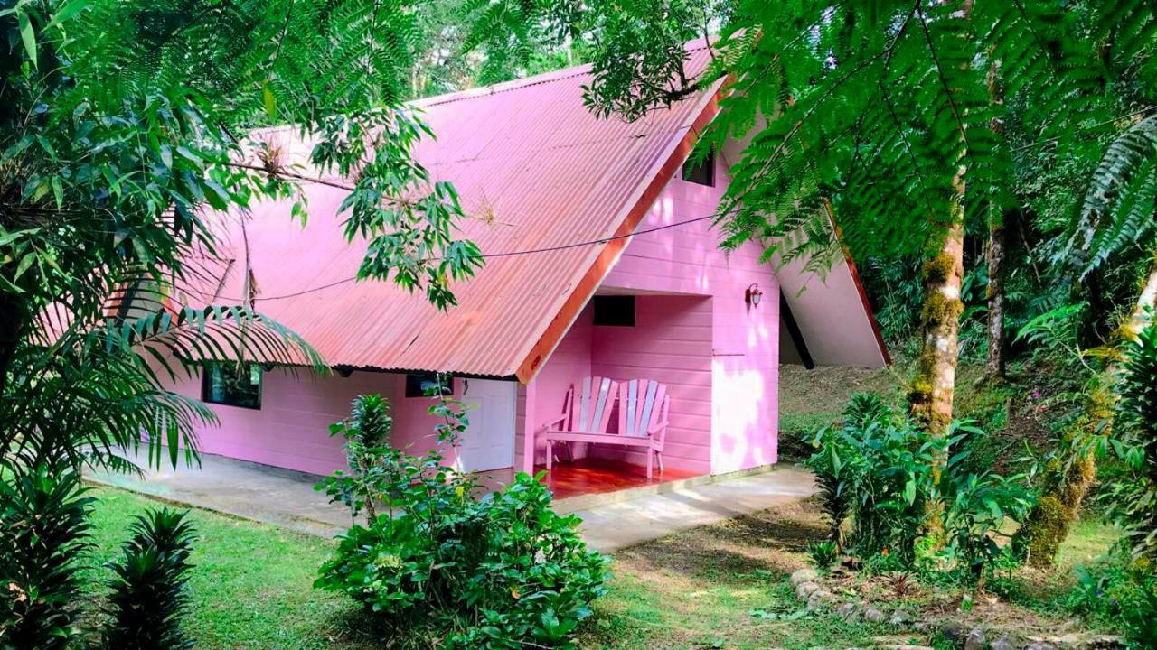 Cabanas Las Orquideas Zapotal  ห้อง รูปภาพ