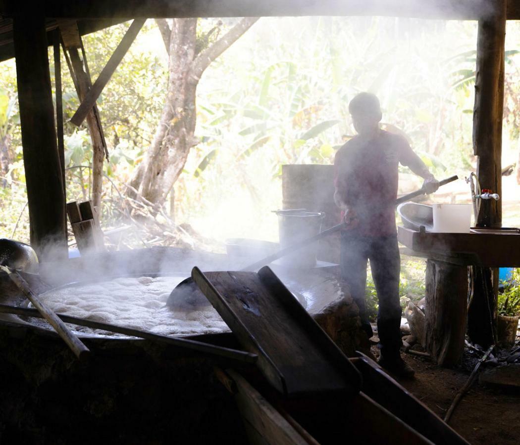 Cabanas Las Orquideas Zapotal  ภายนอก รูปภาพ