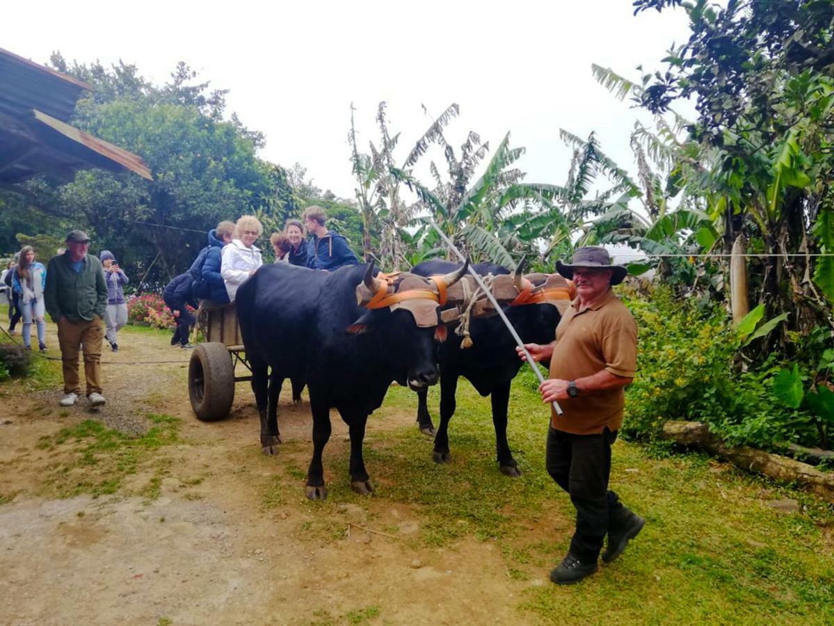 Cabanas Las Orquideas Zapotal  ภายนอก รูปภาพ