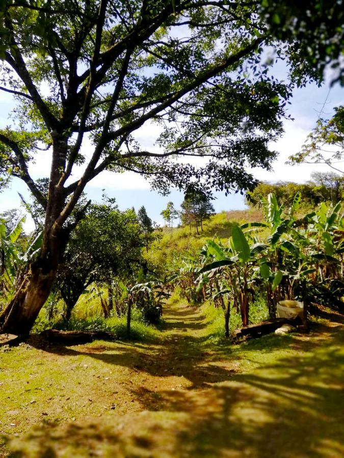 Cabanas Las Orquideas Zapotal  ภายนอก รูปภาพ