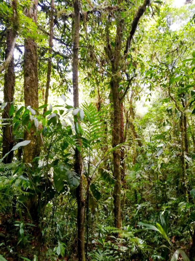 Cabanas Las Orquideas Zapotal  ภายนอก รูปภาพ