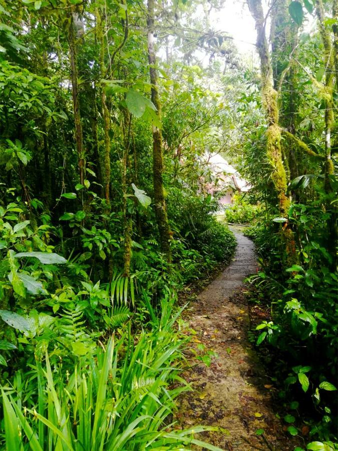 Cabanas Las Orquideas Zapotal  ภายนอก รูปภาพ
