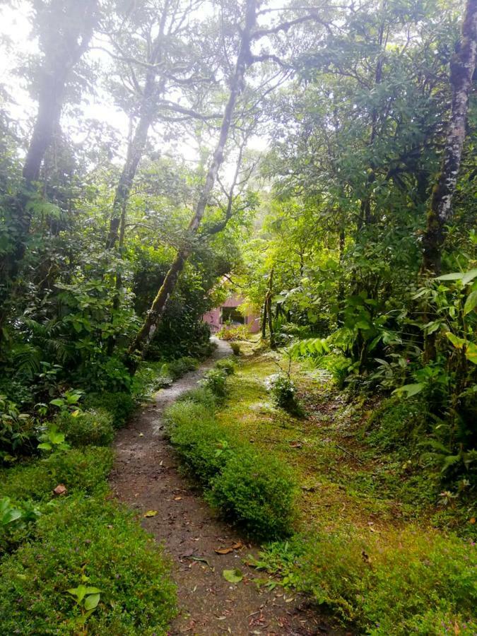 Cabanas Las Orquideas Zapotal  ภายนอก รูปภาพ